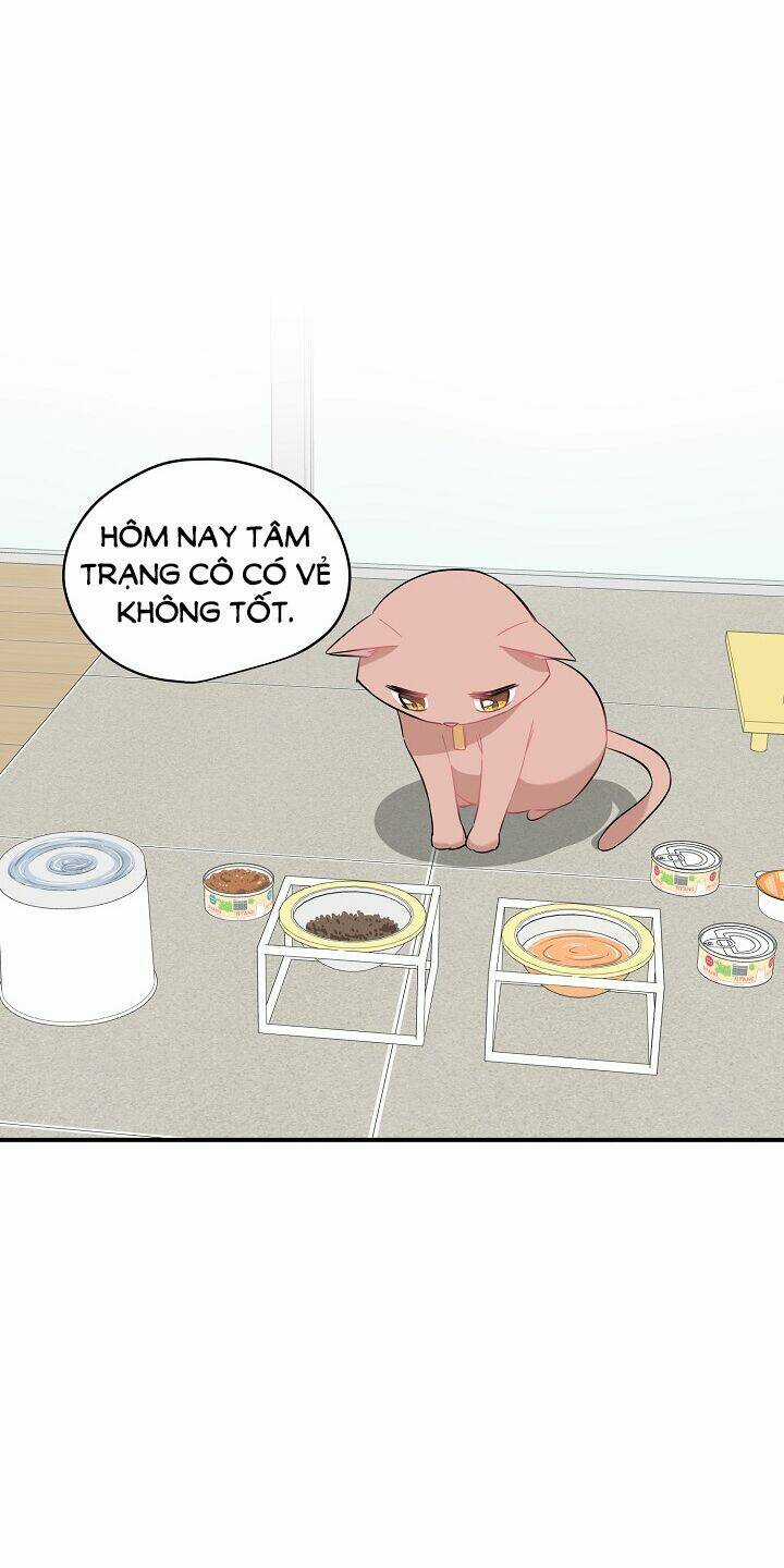 Cuộc Sống Kỳ Thú - Chapter 30 - Trang 34