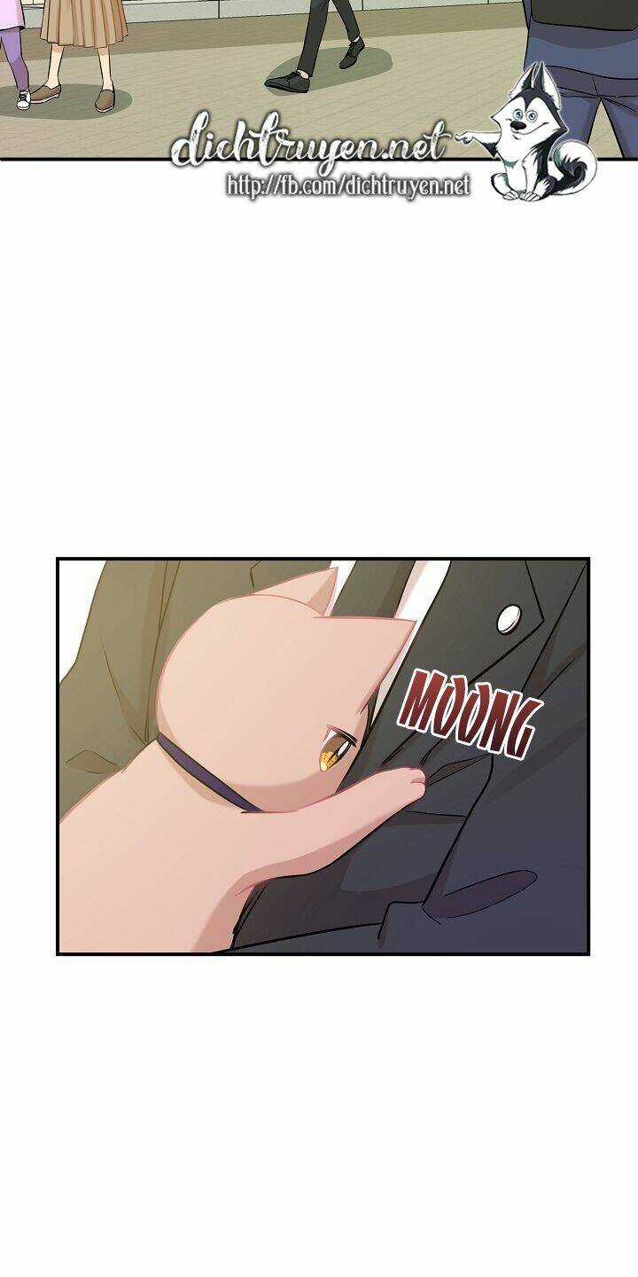 Cuộc Sống Kỳ Thú - Chapter 30 - Trang 38