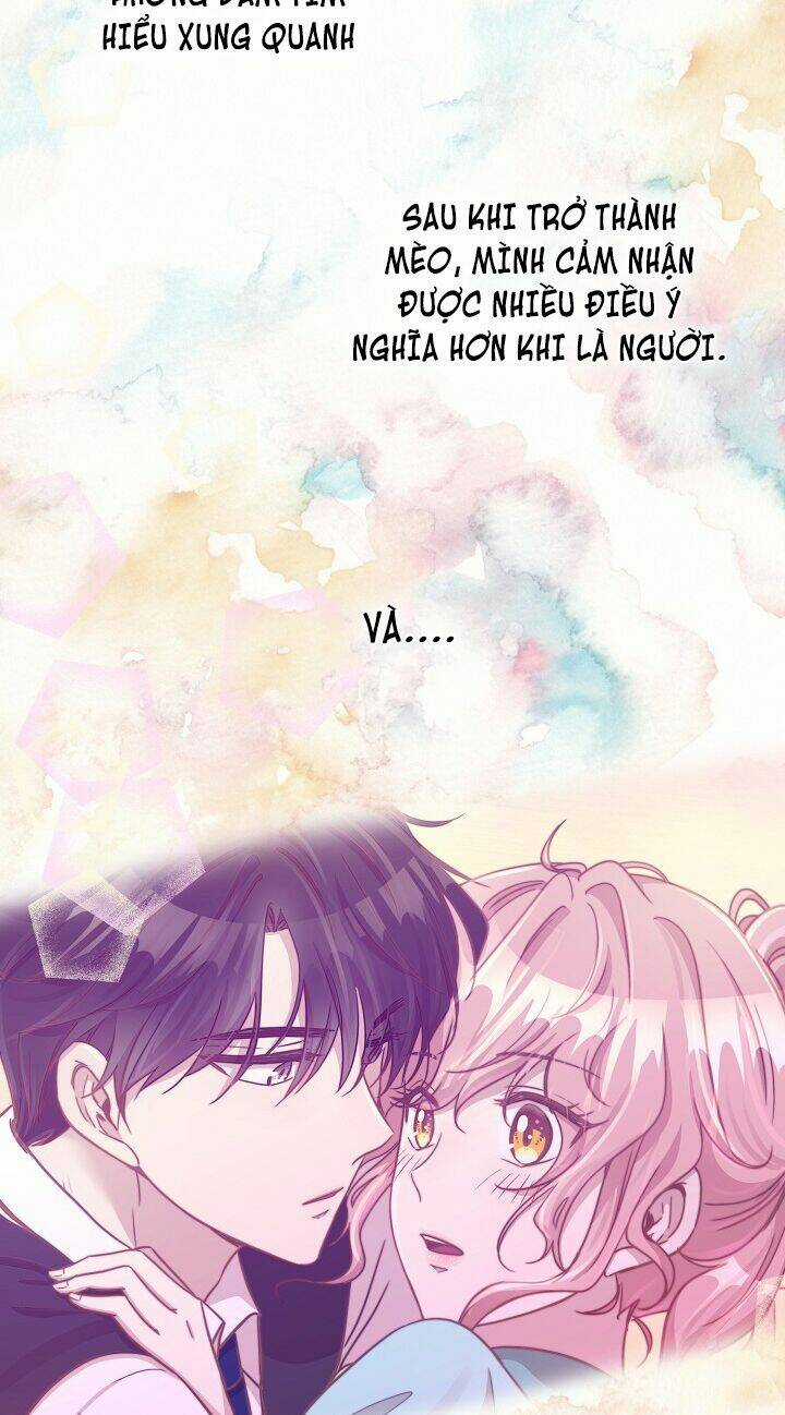 Cuộc Sống Kỳ Thú - Chapter 30 - Trang 54