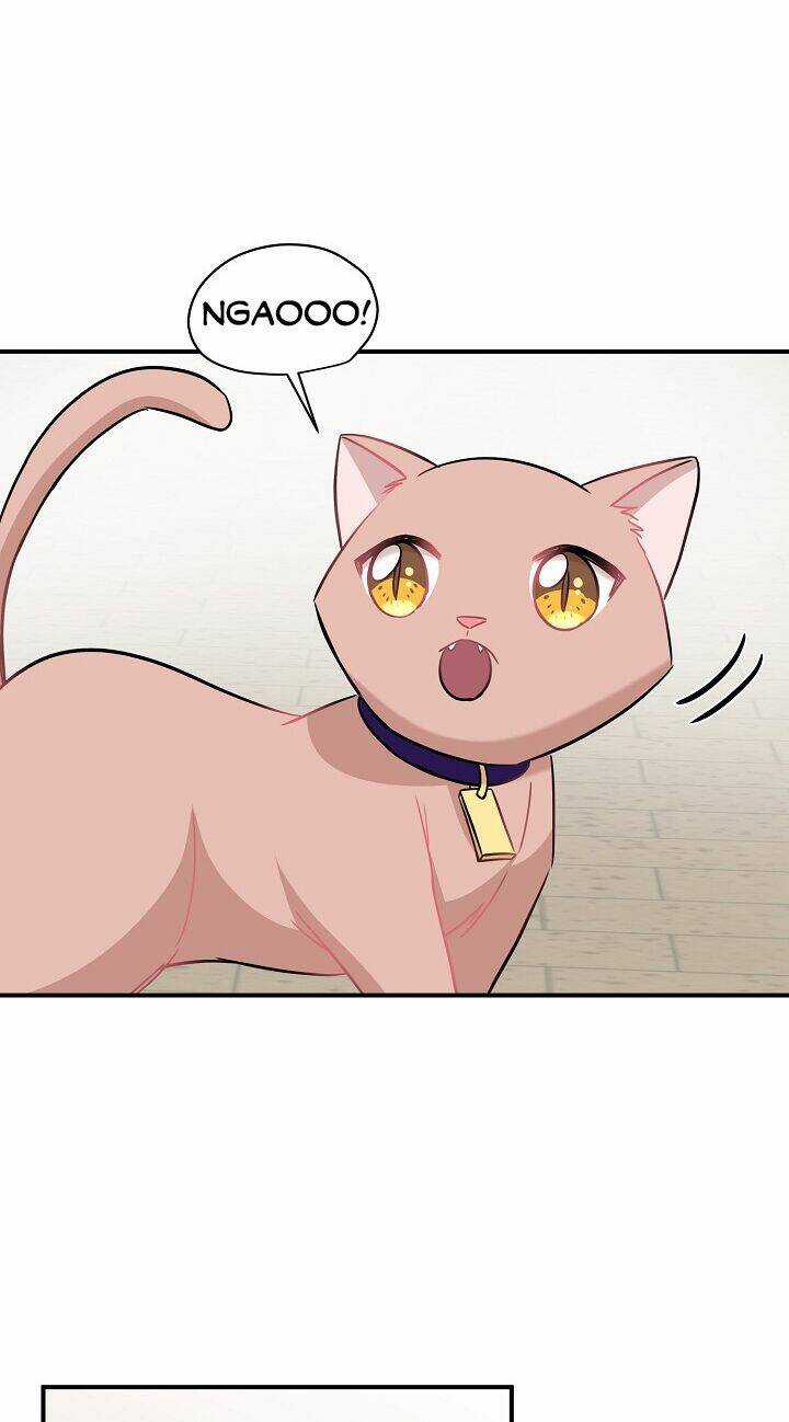 Cuộc Sống Kỳ Thú - Chapter 30 - Trang 57