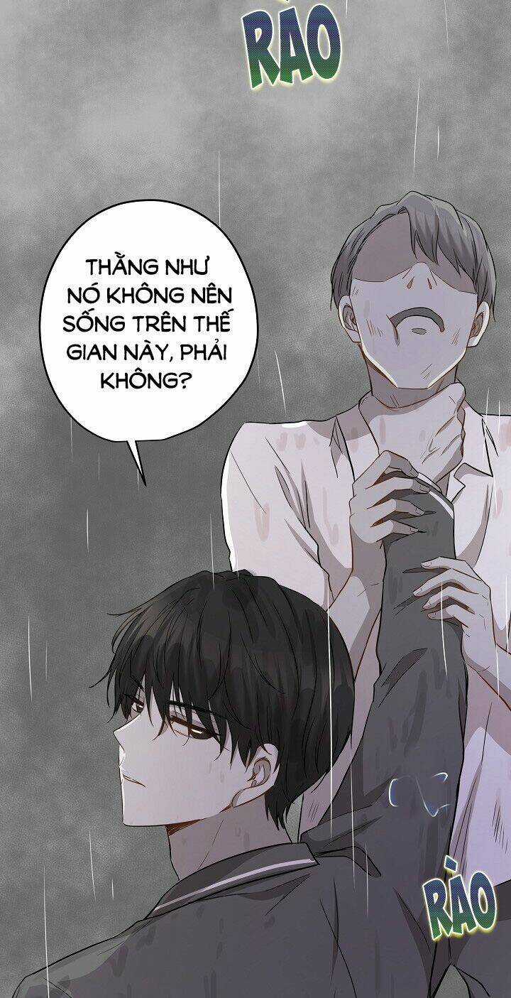 Cuộc Sống Kỳ Thú - Chapter 33 - Trang 45