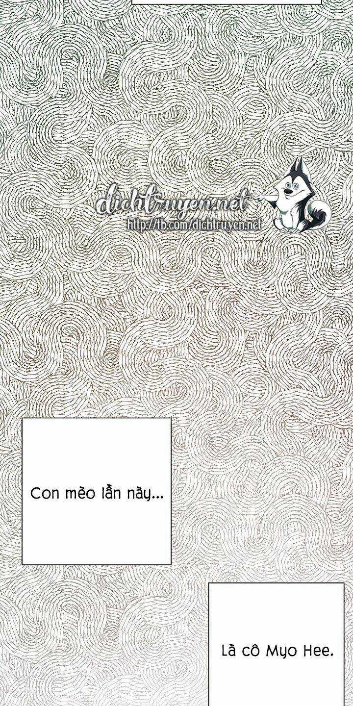 Cuộc Sống Kỳ Thú - Chapter 34 - Trang 47