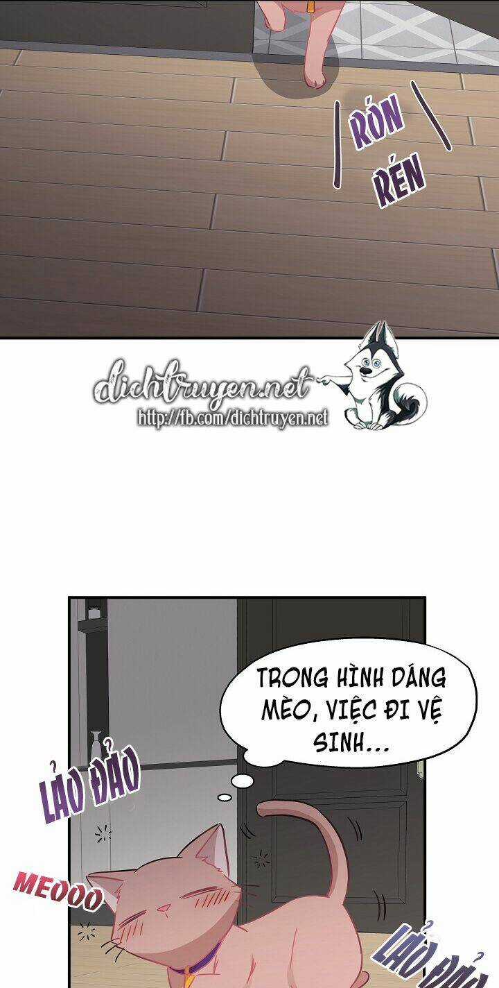 Cuộc Sống Kỳ Thú - Chapter 35 - Trang 1