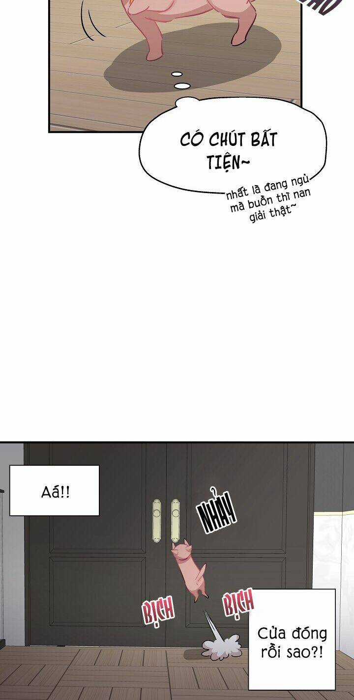 Cuộc Sống Kỳ Thú - Chapter 35 - Trang 2