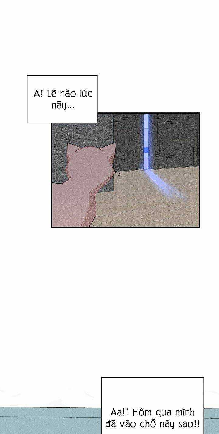 Cuộc Sống Kỳ Thú - Chapter 35 - Trang 11