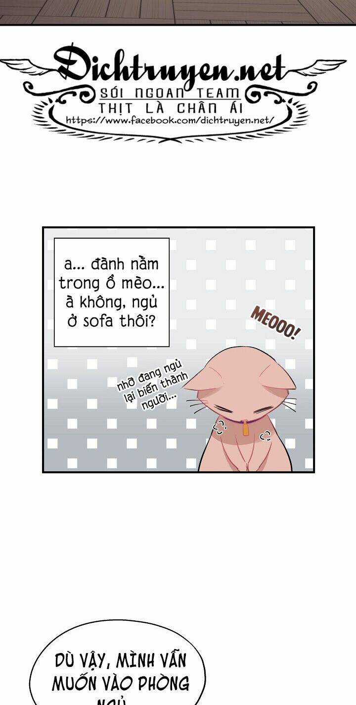 Cuộc Sống Kỳ Thú - Chapter 35 - Trang 3