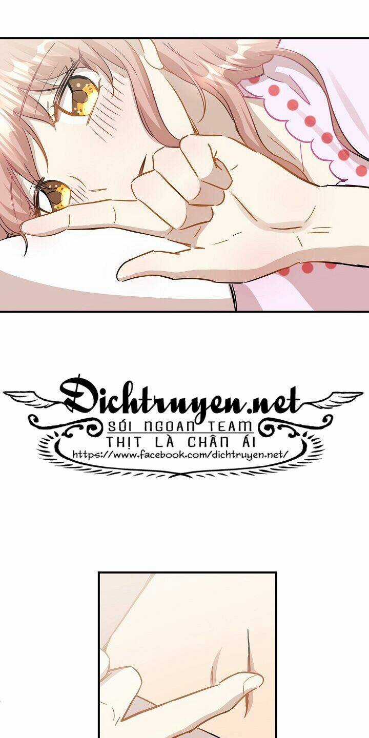 Cuộc Sống Kỳ Thú - Chapter 35 - Trang 26