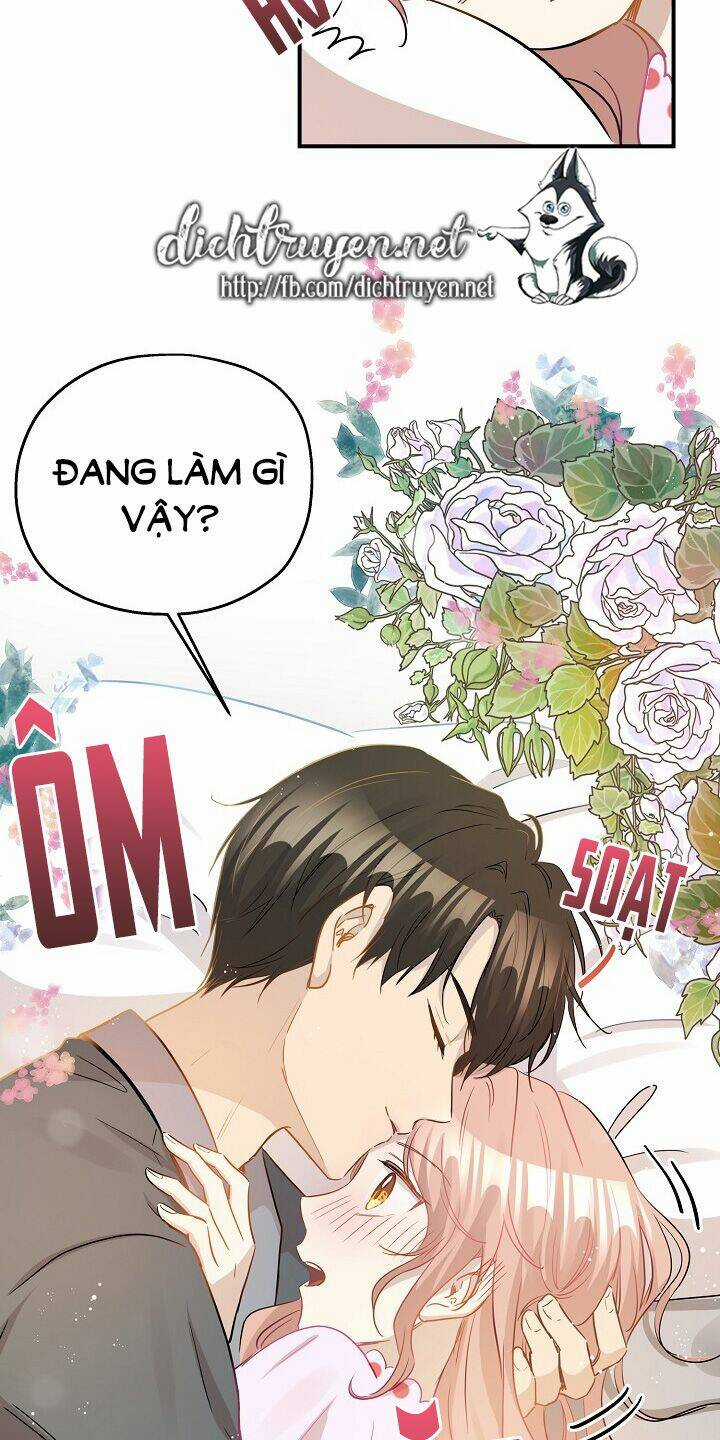 Cuộc Sống Kỳ Thú - Chapter 35 - Trang 28