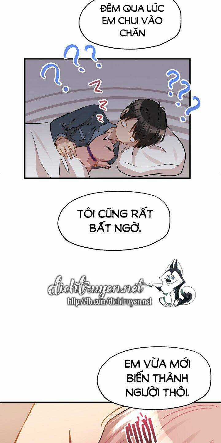 Cuộc Sống Kỳ Thú - Chapter 35 - Trang 32