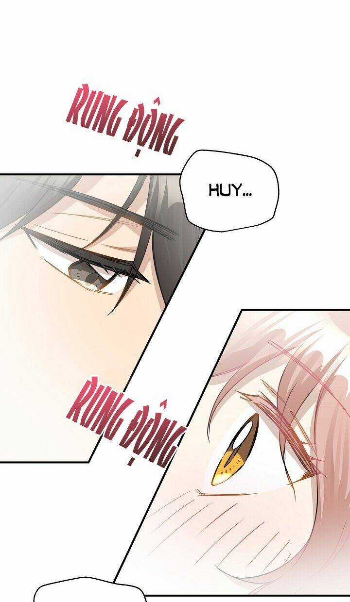 Cuộc Sống Kỳ Thú - Chapter 35 - Trang 41