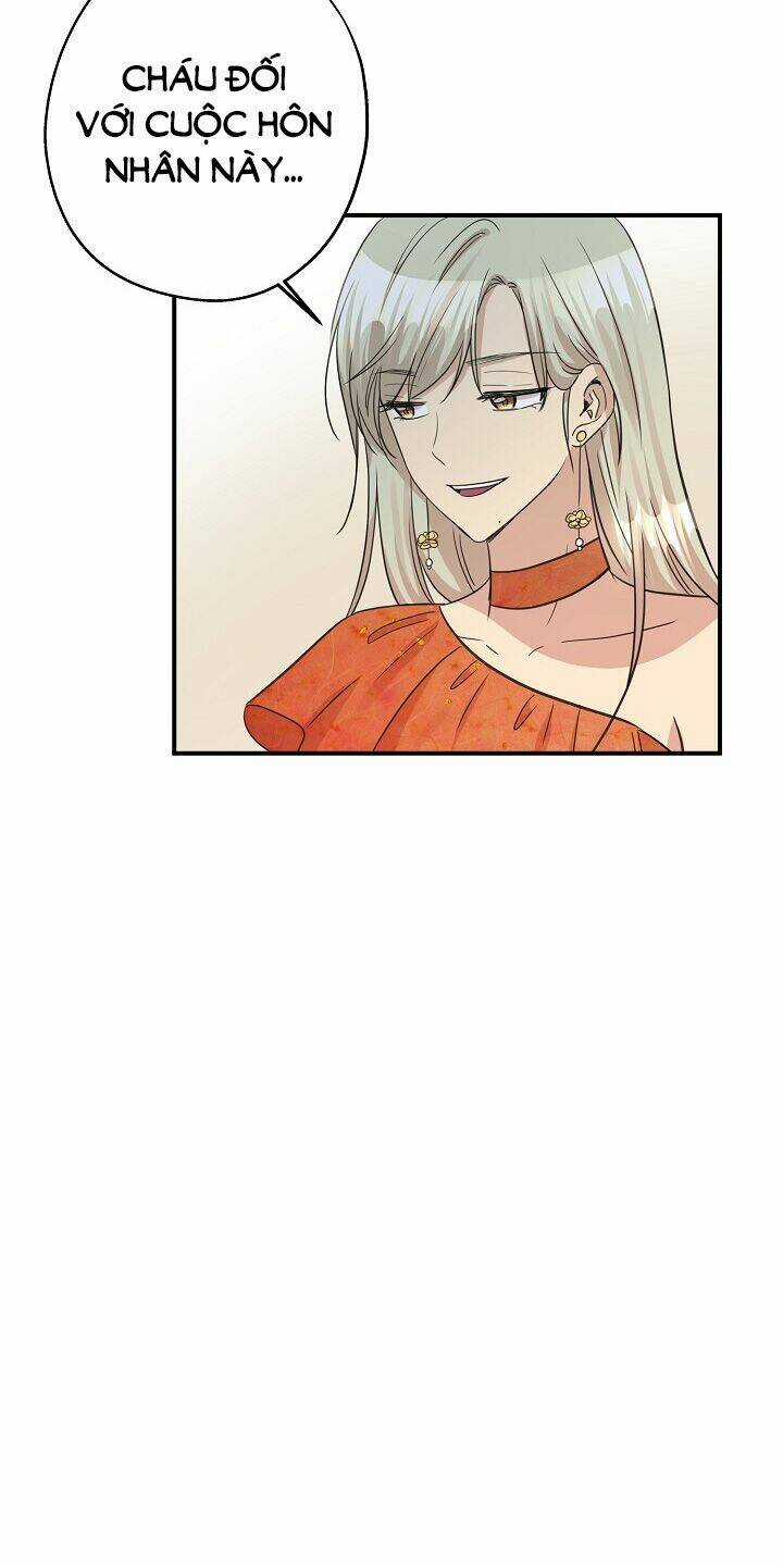 Cuộc Sống Kỳ Thú - Chapter 36 - Trang 28