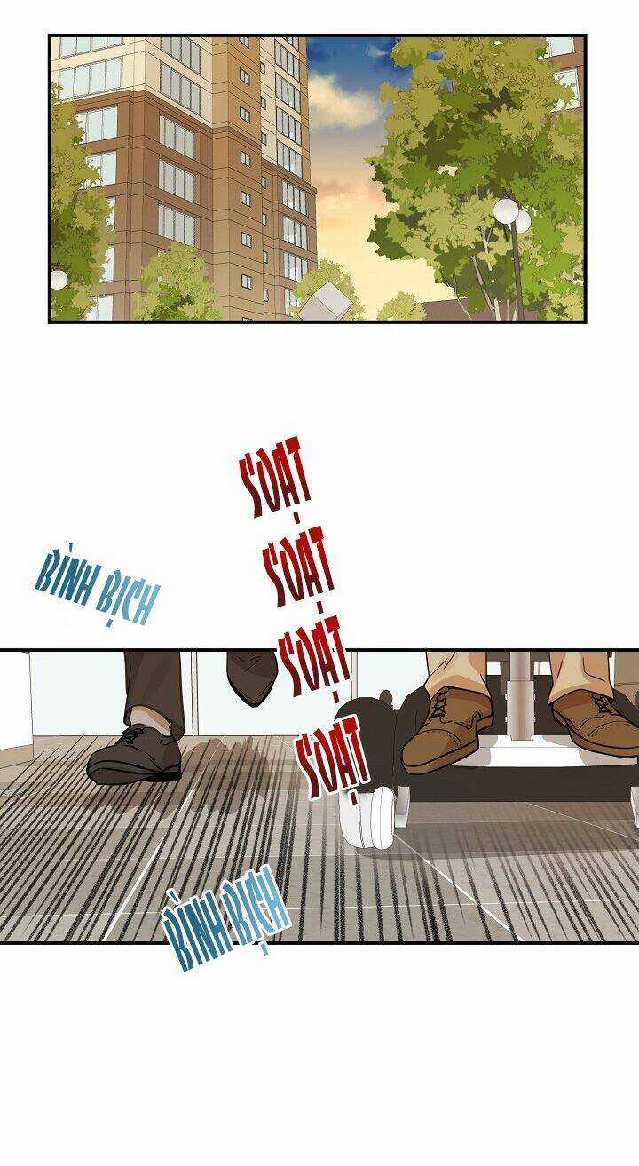 Cuộc Sống Kỳ Thú - Chapter 36 - Trang 45