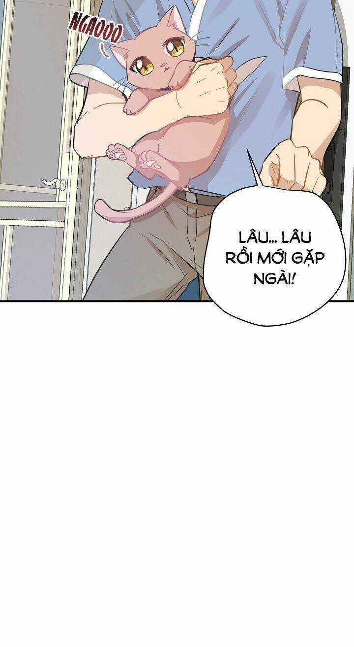 Cuộc Sống Kỳ Thú - Chapter 36 - Trang 53