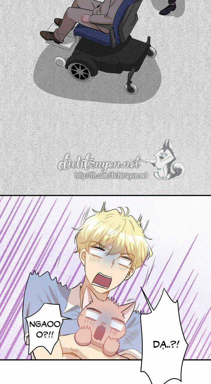 Cuộc Sống Kỳ Thú - Chapter 36 - Trang 59
