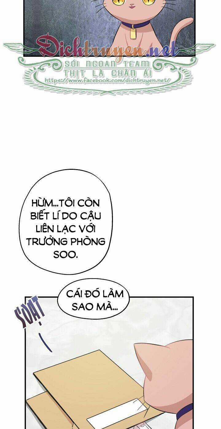 Cuộc Sống Kỳ Thú - Chapter 37 - Trang 15