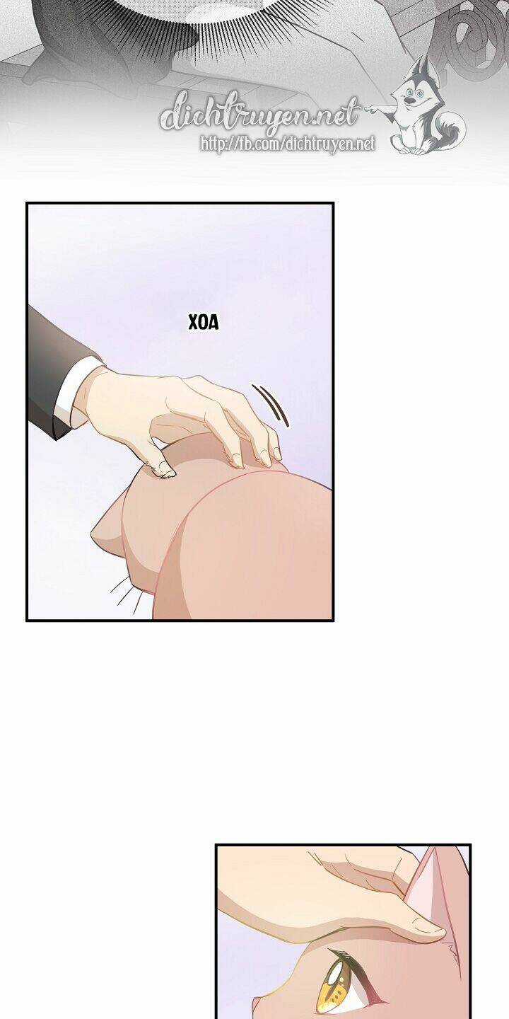 Cuộc Sống Kỳ Thú - Chapter 37 - Trang 22