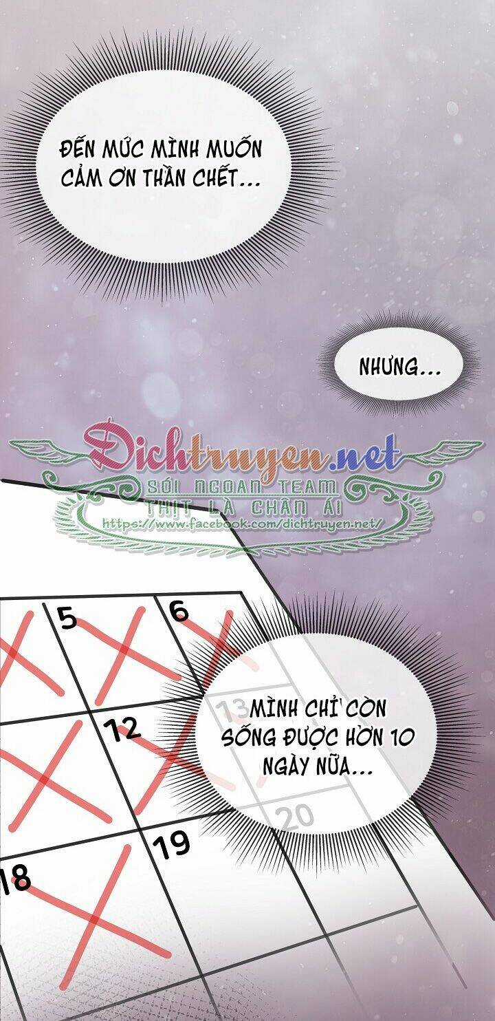 Cuộc Sống Kỳ Thú - Chapter 37 - Trang 48