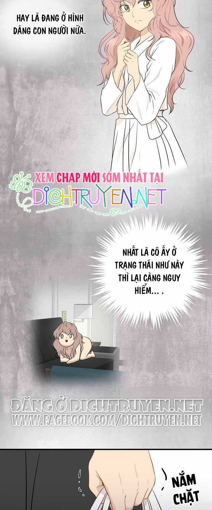 Cuộc Sống Kỳ Thú - Chapter 4 - Trang 24