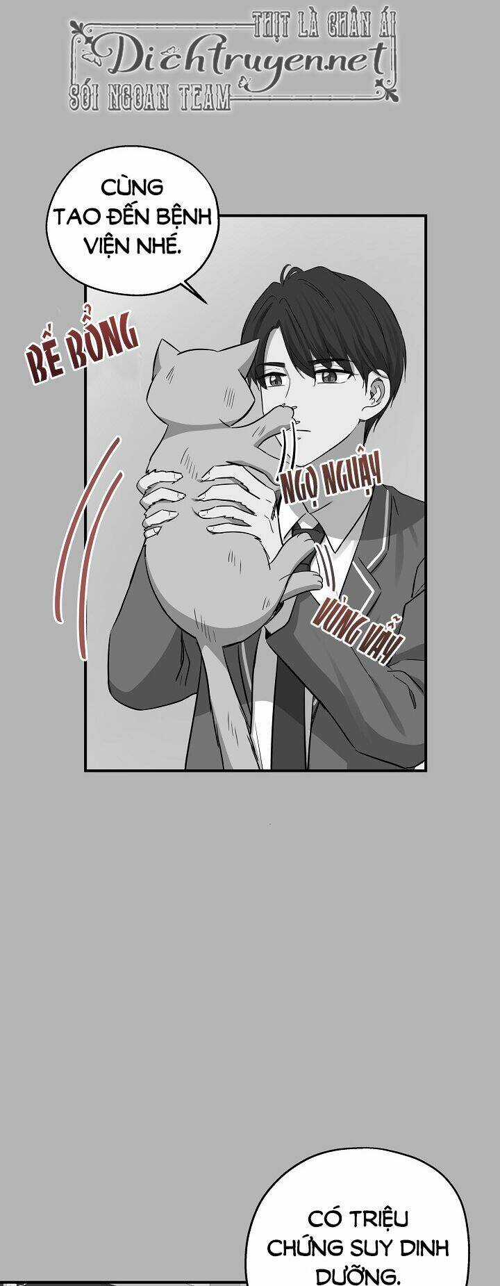 Cuộc Sống Kỳ Thú - Chapter 41 - Trang 13