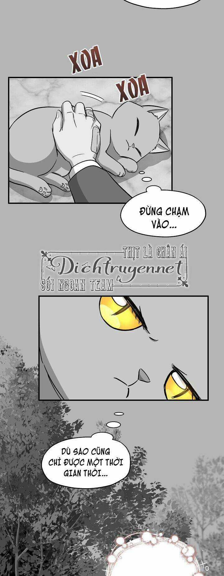 Cuộc Sống Kỳ Thú - Chapter 41 - Trang 15