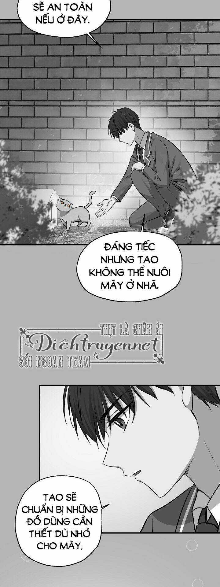 Cuộc Sống Kỳ Thú - Chapter 41 - Trang 17