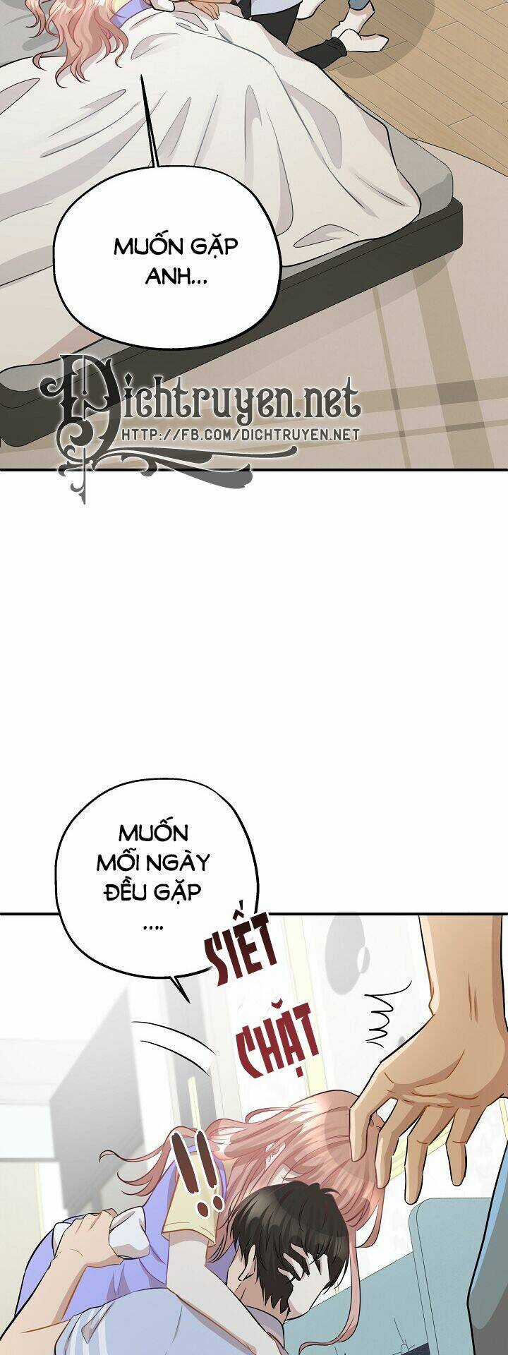 Cuộc Sống Kỳ Thú - Chapter 41 - Trang 29