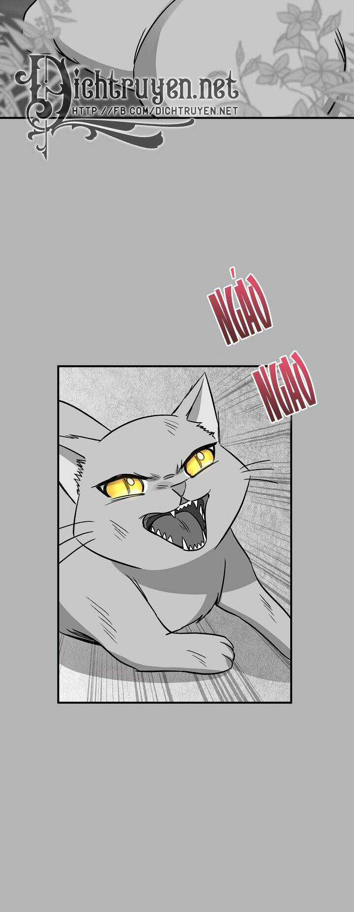 Cuộc Sống Kỳ Thú - Chapter 41 - Trang 10