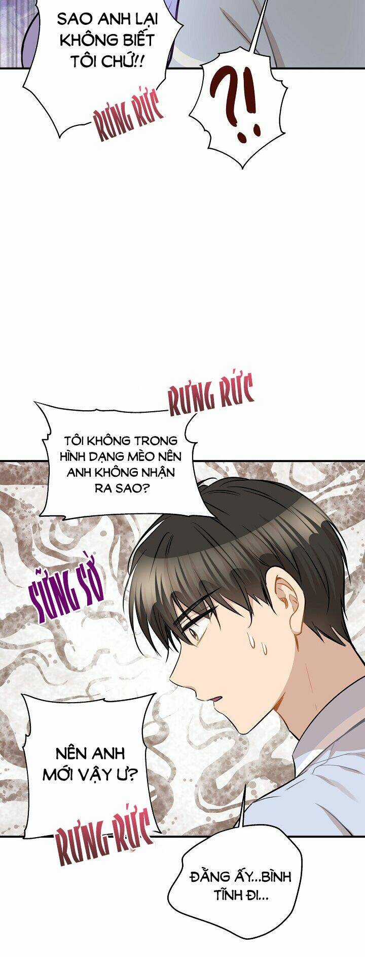 Cuộc Sống Kỳ Thú - Chapter 42 - Trang 5