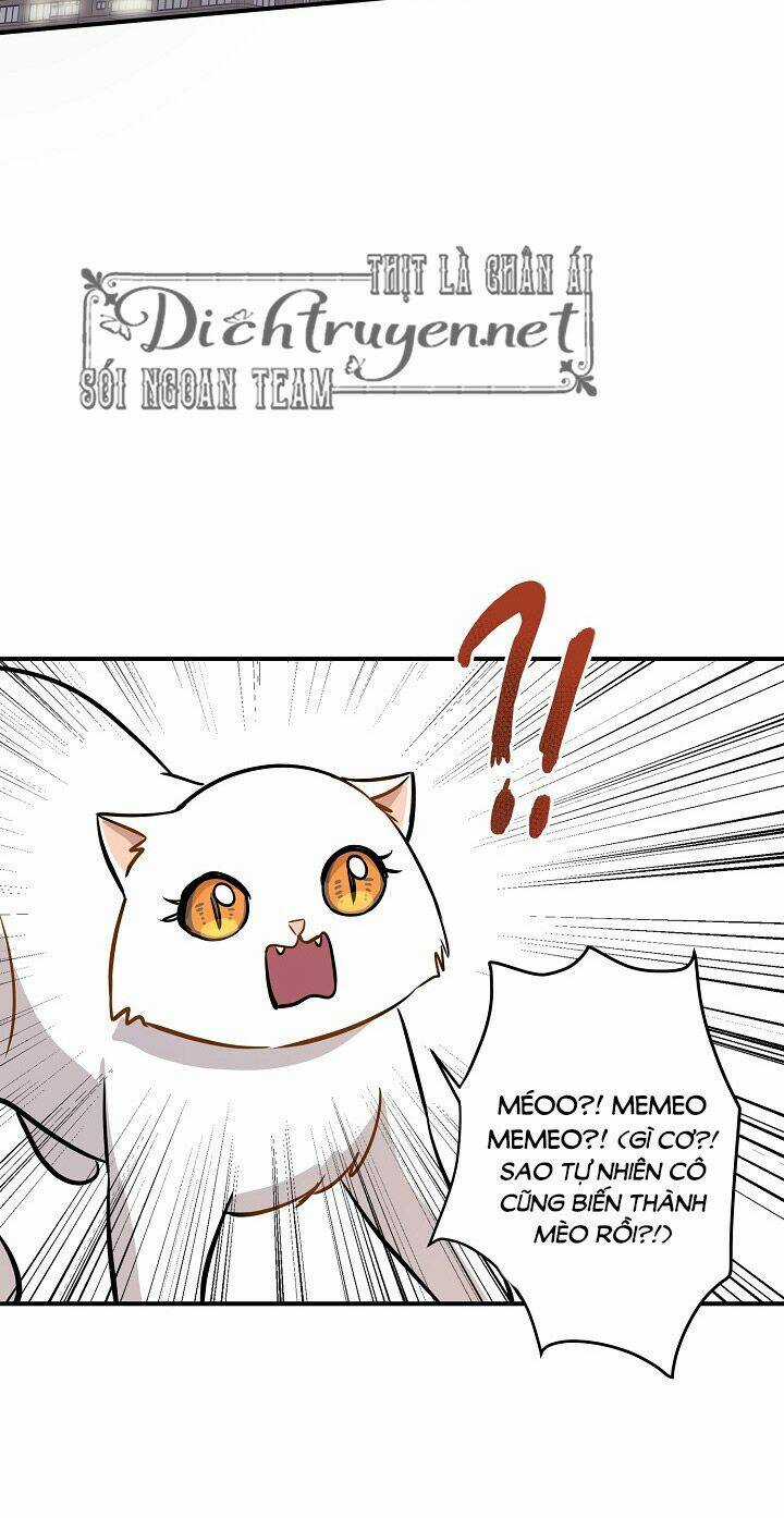 Cuộc Sống Kỳ Thú - Chapter 44 - Trang 18
