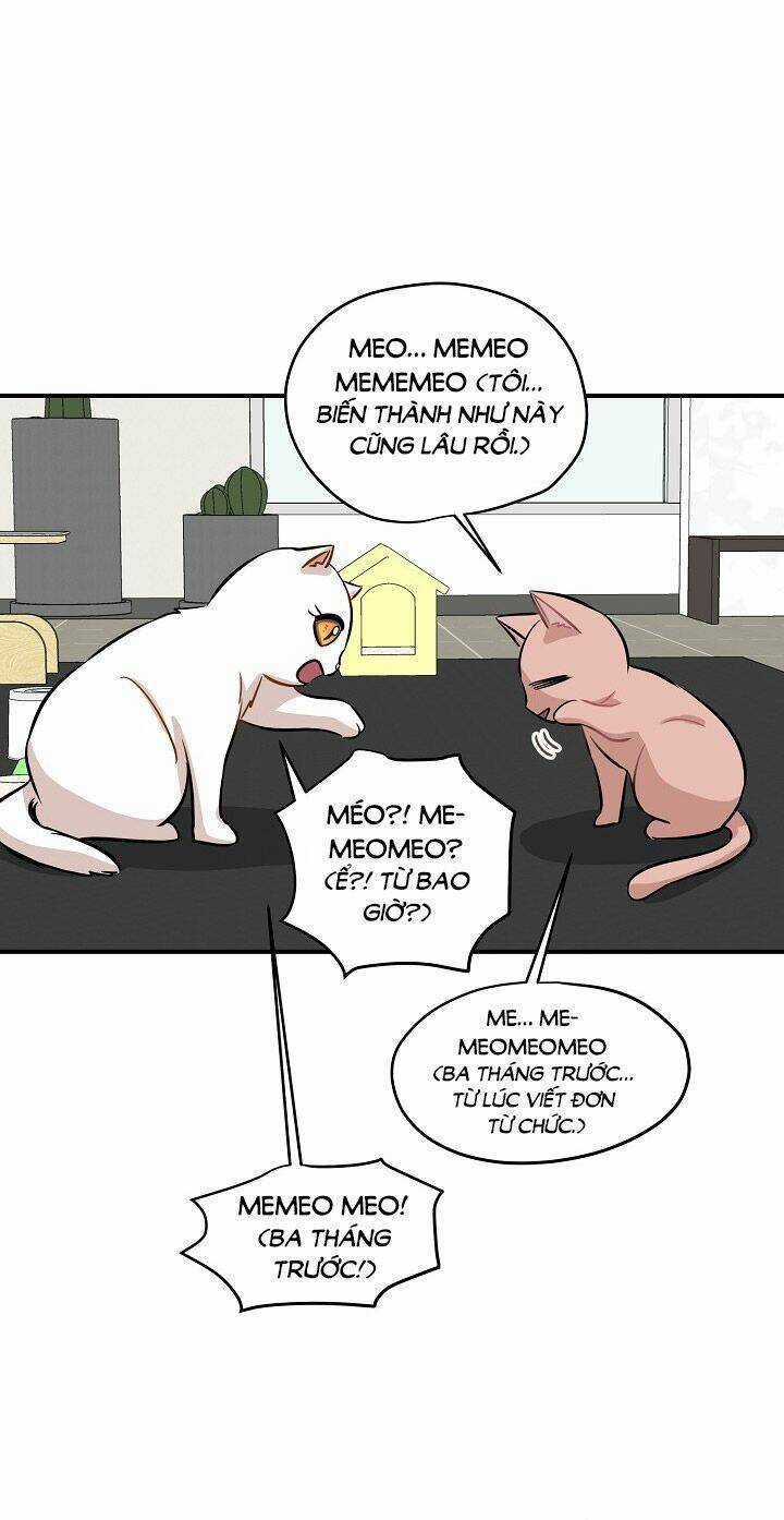 Cuộc Sống Kỳ Thú - Chapter 44 - Trang 19