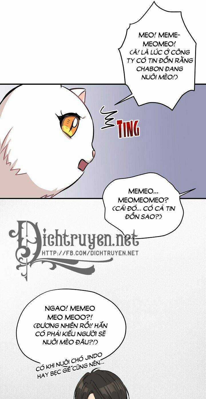 Cuộc Sống Kỳ Thú - Chapter 44 - Trang 20