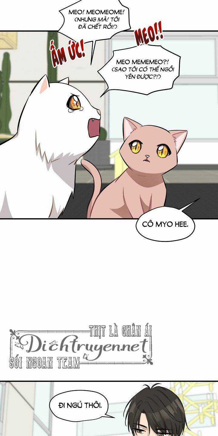 Cuộc Sống Kỳ Thú - Chapter 44 - Trang 23