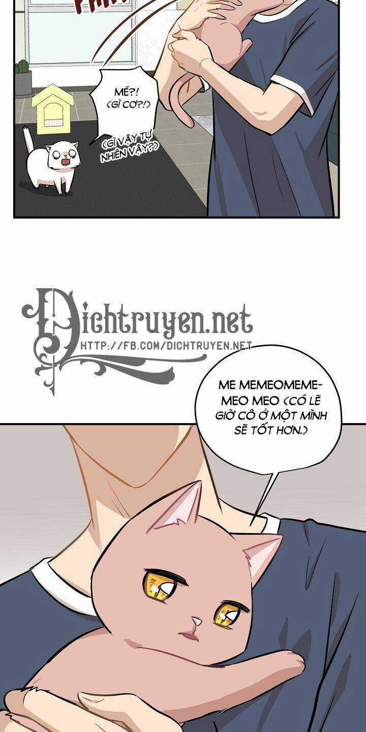 Cuộc Sống Kỳ Thú - Chapter 44 - Trang 25