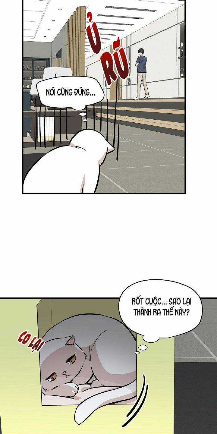 Cuộc Sống Kỳ Thú - Chapter 44 - Trang 27