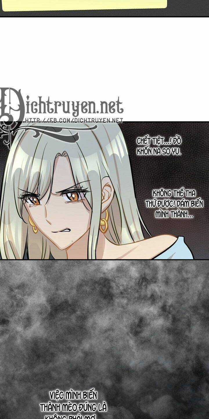 Cuộc Sống Kỳ Thú - Chapter 44 - Trang 28