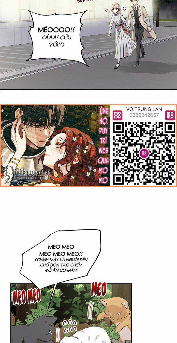 Cuộc Sống Kỳ Thú - Chapter 44 - Trang 4