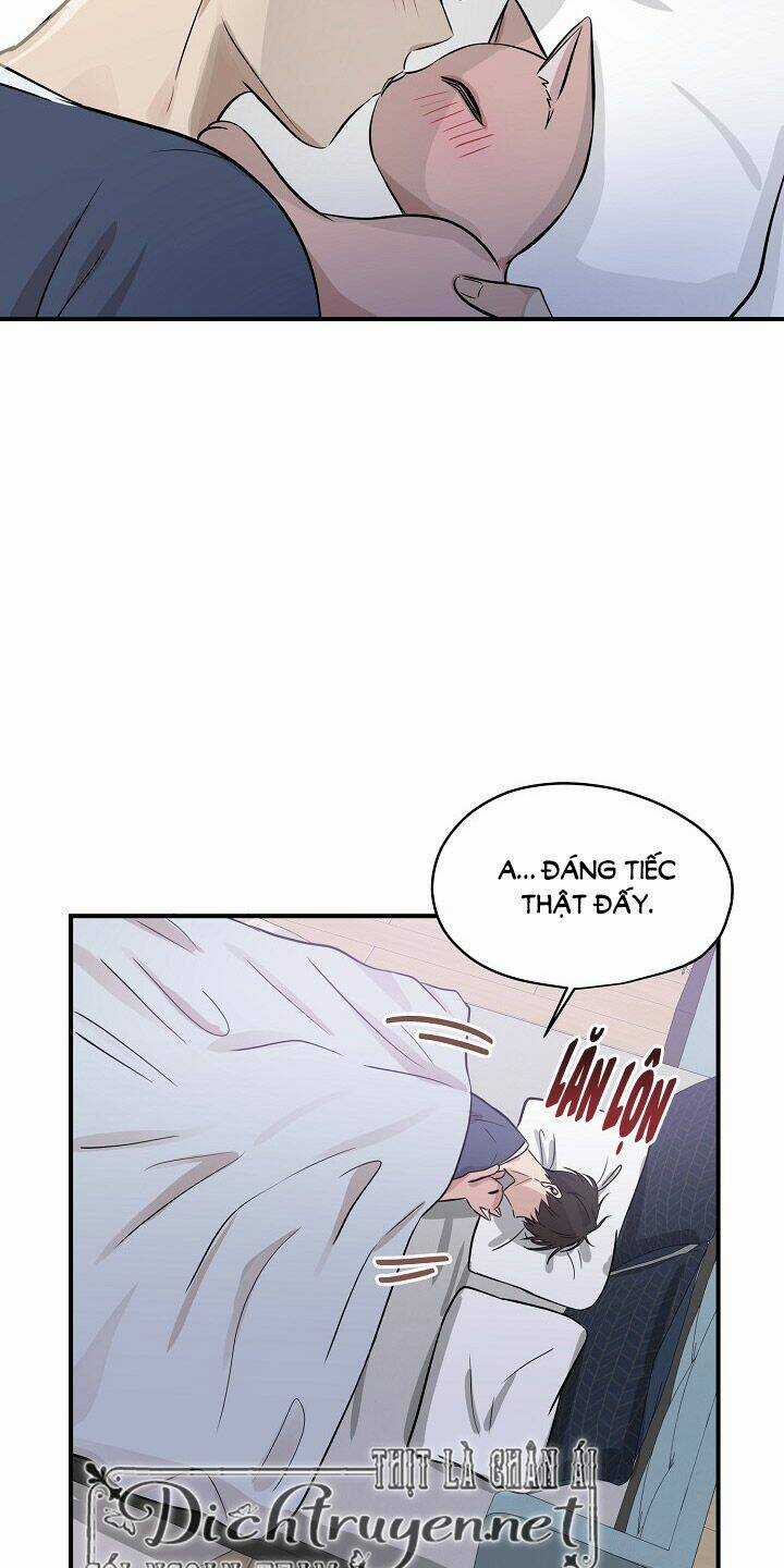 Cuộc Sống Kỳ Thú - Chapter 44 - Trang 43