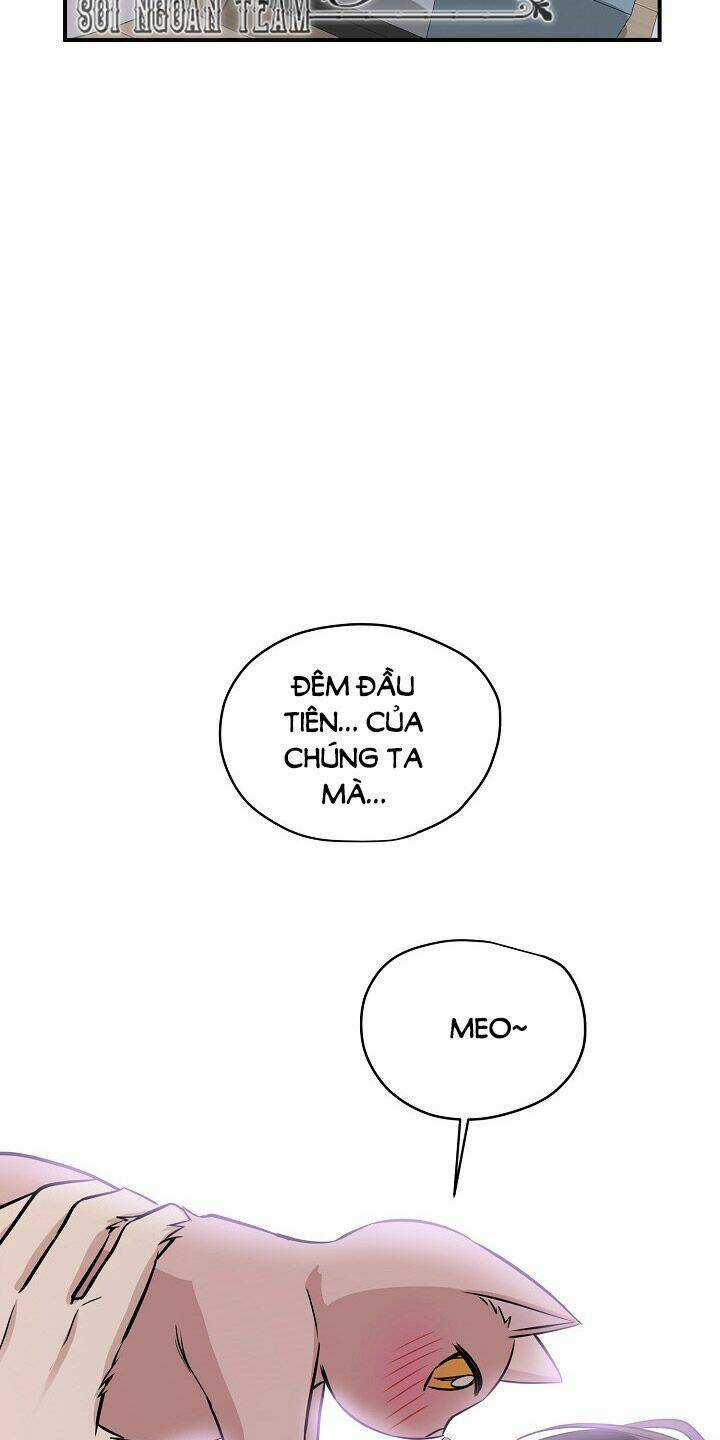 Cuộc Sống Kỳ Thú - Chapter 44 - Trang 44