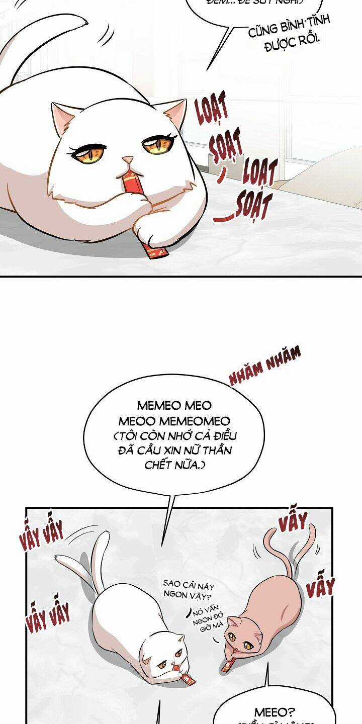 Cuộc Sống Kỳ Thú - Chapter 44 - Trang 48