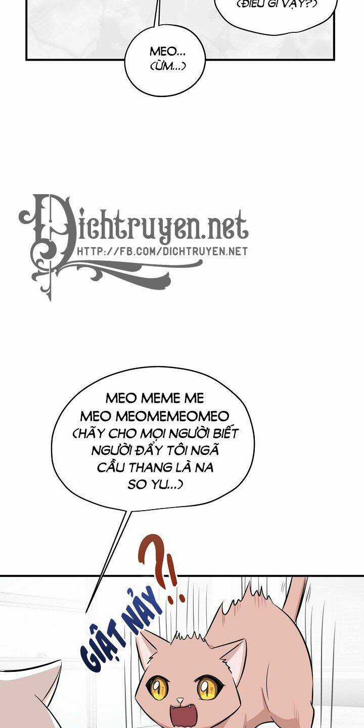 Cuộc Sống Kỳ Thú - Chapter 44 - Trang 49