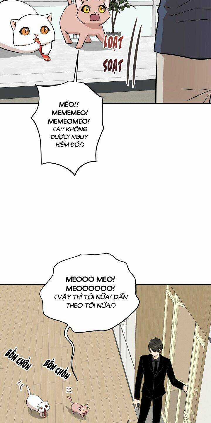 Cuộc Sống Kỳ Thú - Chapter 44 - Trang 53