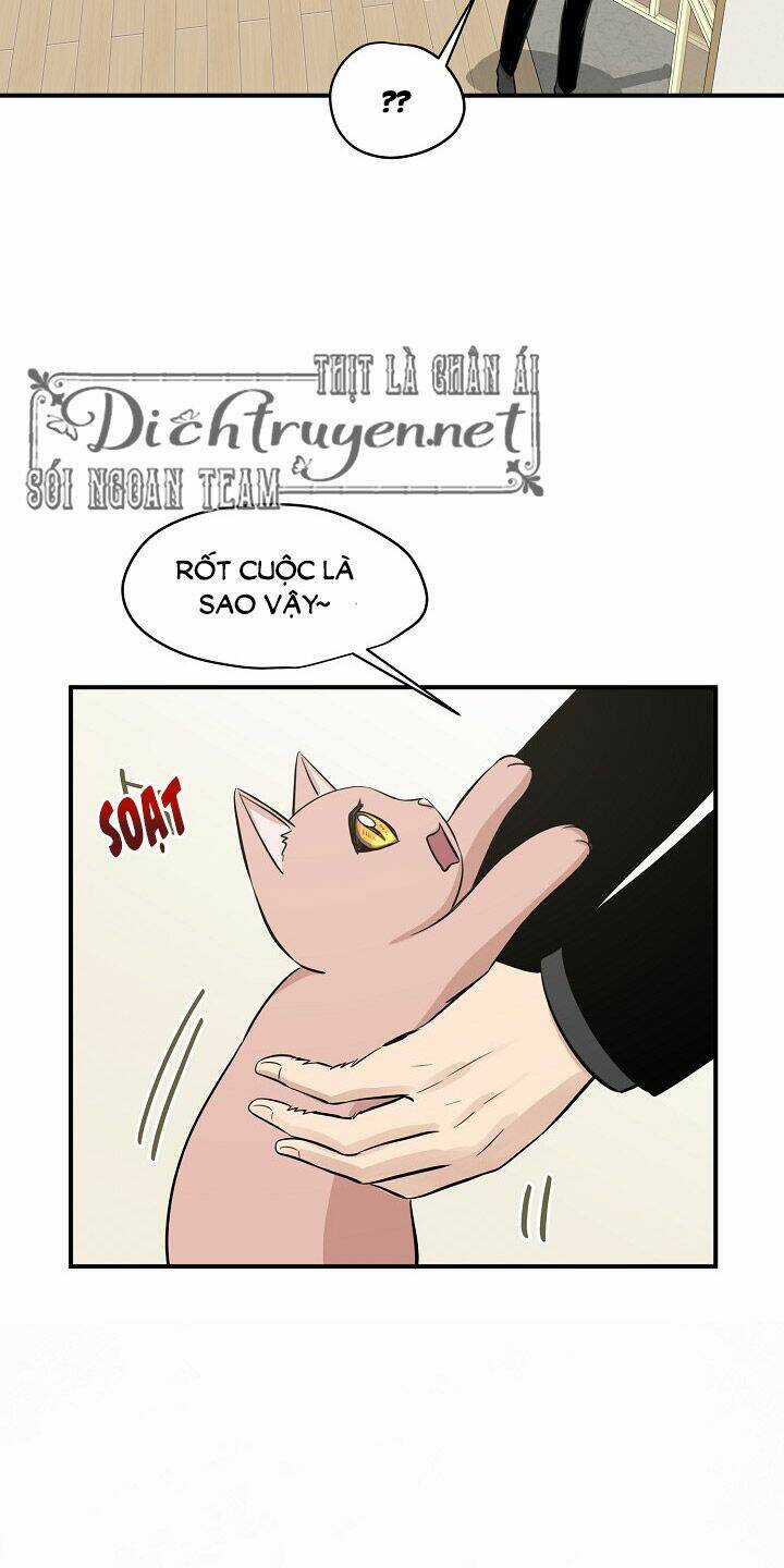 Cuộc Sống Kỳ Thú - Chapter 44 - Trang 54