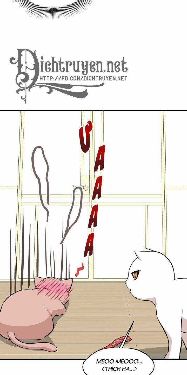 Cuộc Sống Kỳ Thú - Chapter 44 - Trang 56