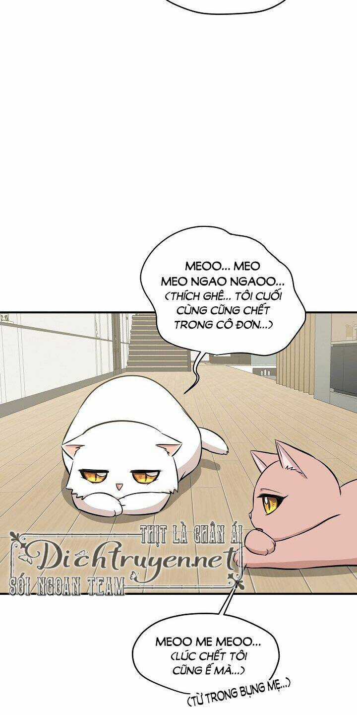 Cuộc Sống Kỳ Thú - Chapter 44 - Trang 57