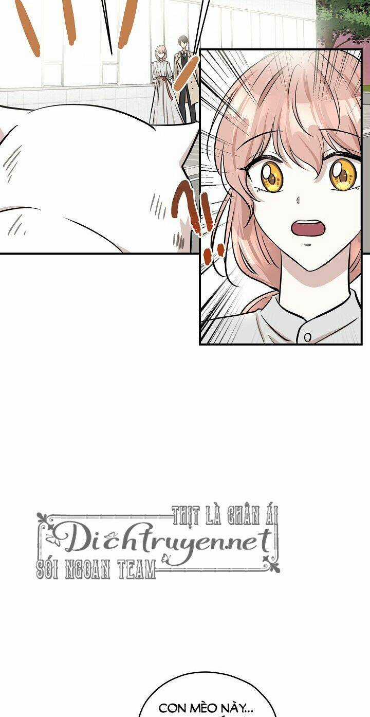 Cuộc Sống Kỳ Thú - Chapter 44 - Trang 7