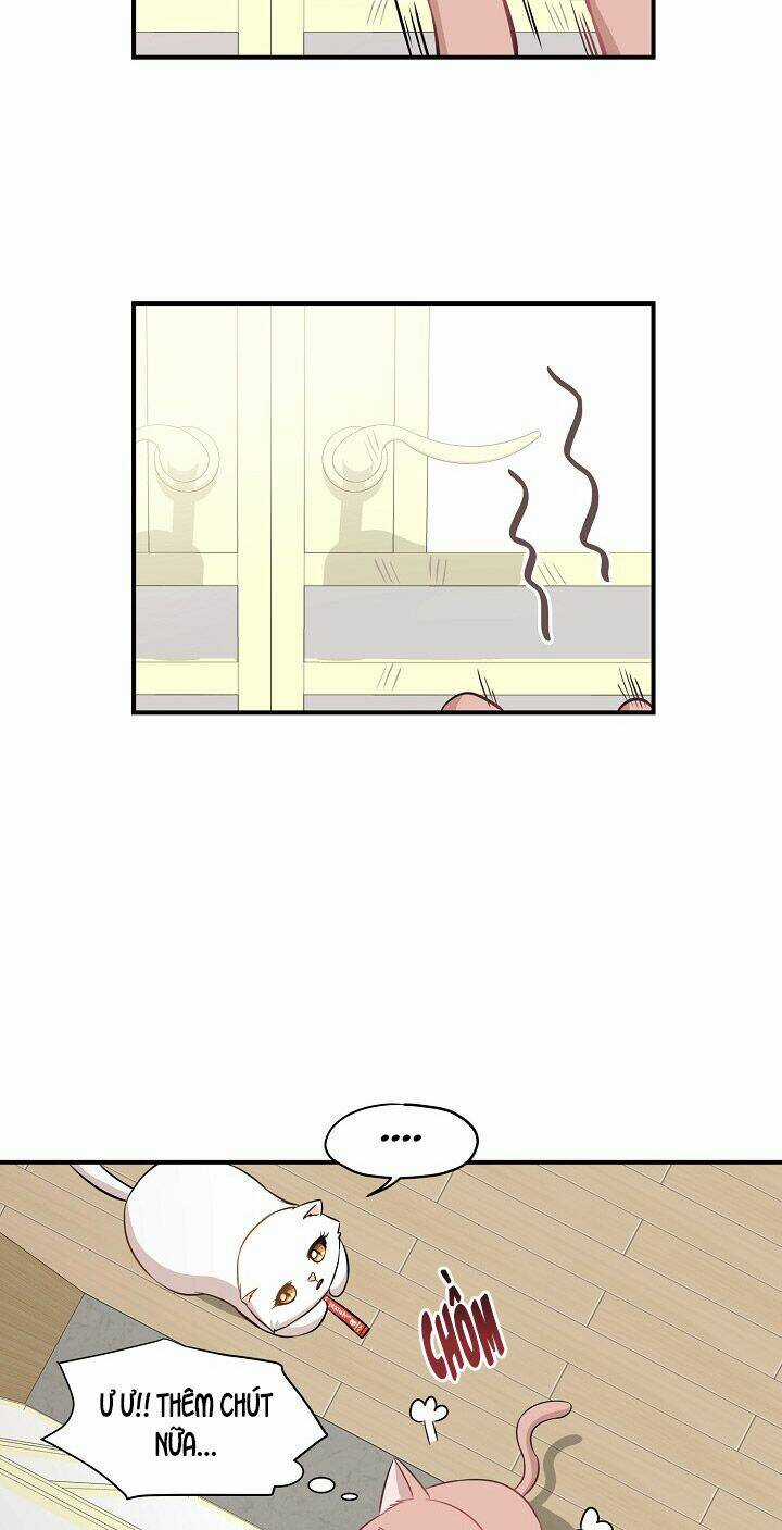 Cuộc Sống Kỳ Thú - Chapter 45 - Trang 2