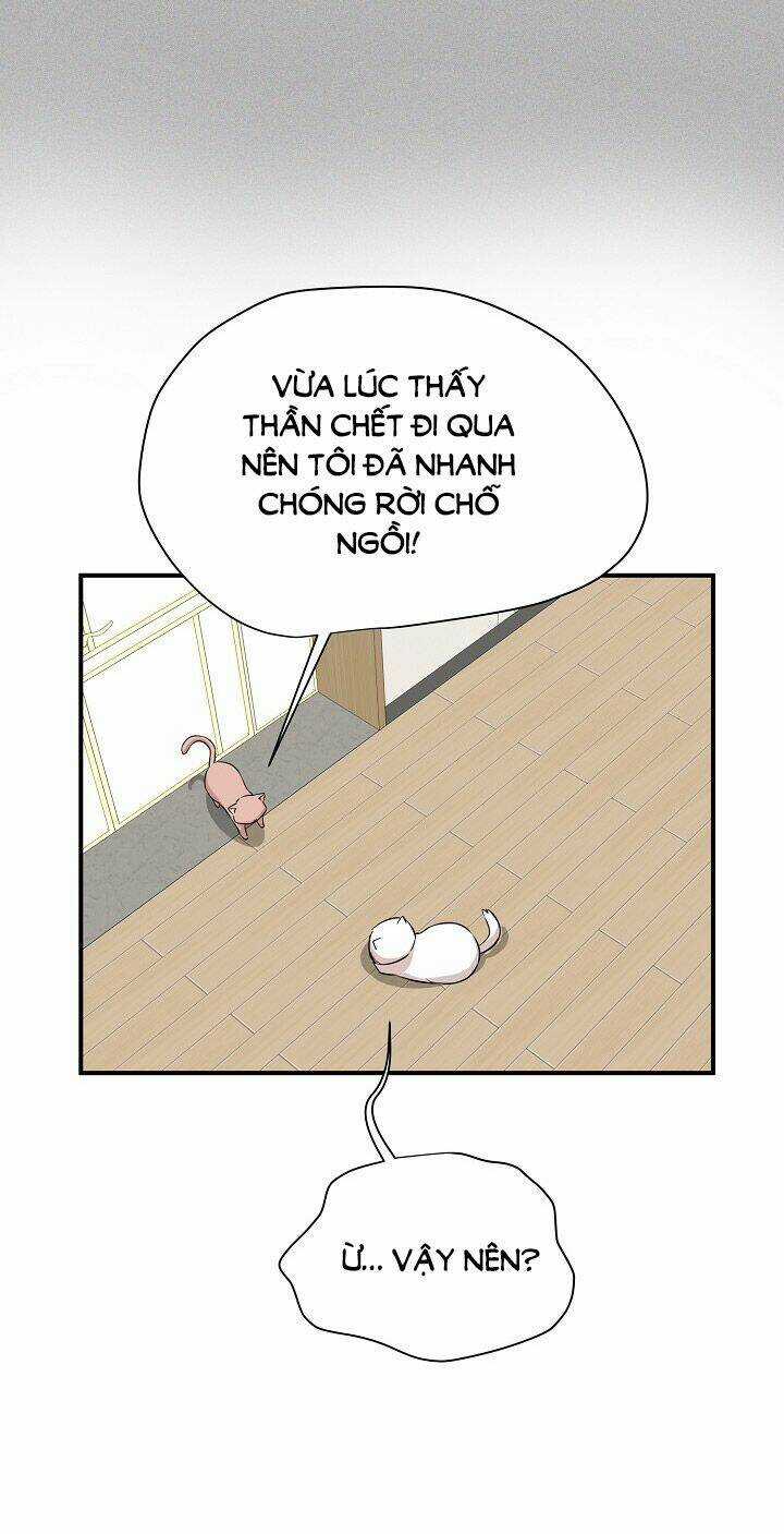 Cuộc Sống Kỳ Thú - Chapter 45 - Trang 11
