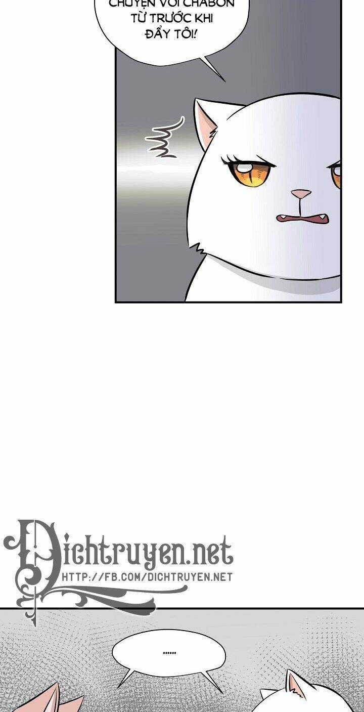 Cuộc Sống Kỳ Thú - Chapter 45 - Trang 13