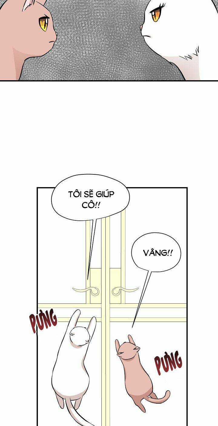 Cuộc Sống Kỳ Thú - Chapter 45 - Trang 14