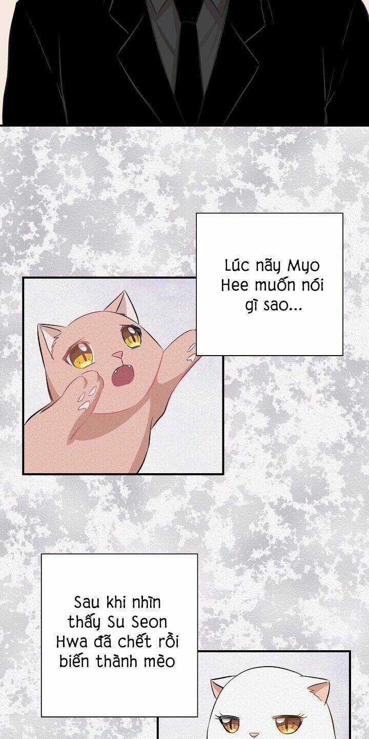 Cuộc Sống Kỳ Thú - Chapter 45 - Trang 31